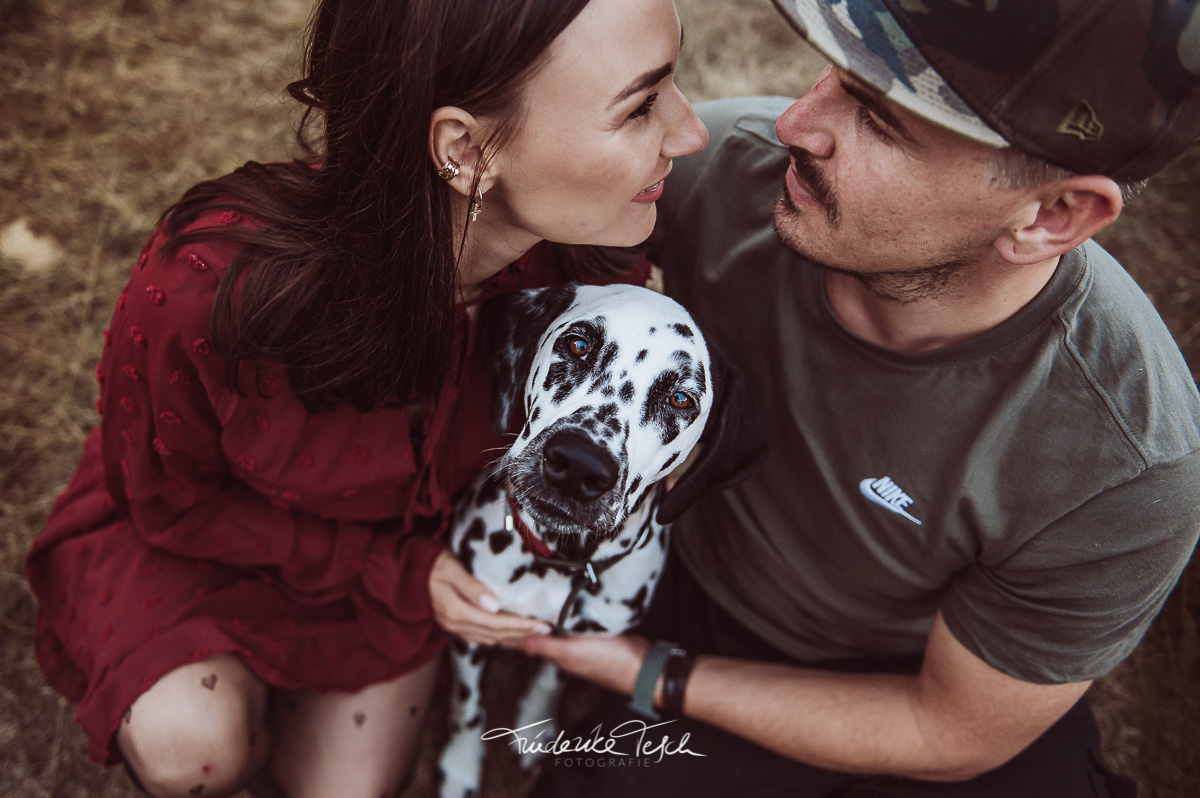 Romantisches Paar-Fotoshooting mit Dalmatiner | Hundefotograf Rostock | Tierfotograf Mecklenburg-Vorpommern