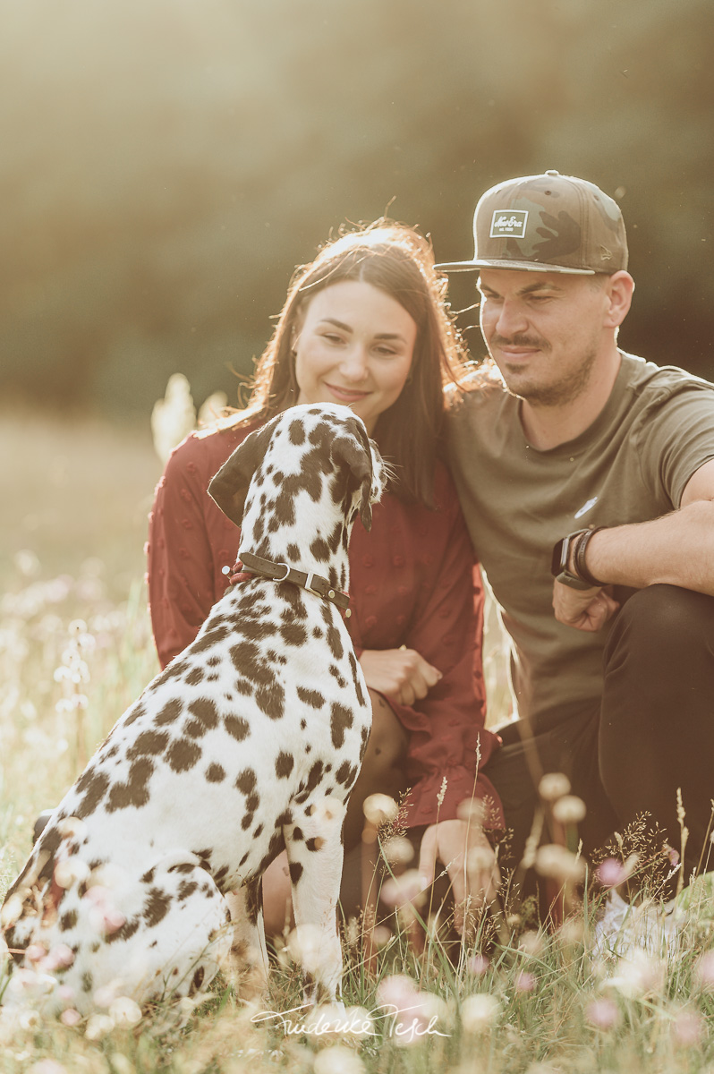 Fotoshooting Paar mit Dalmatiner - Hundefotograf in Rostock | Tierfotograf
