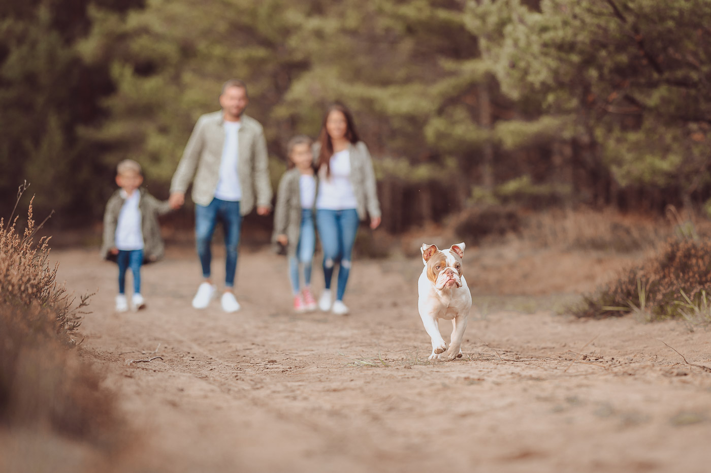 Familienfotos mit Hund - Familienfotoshooting mit Hundefotograf in Rostock