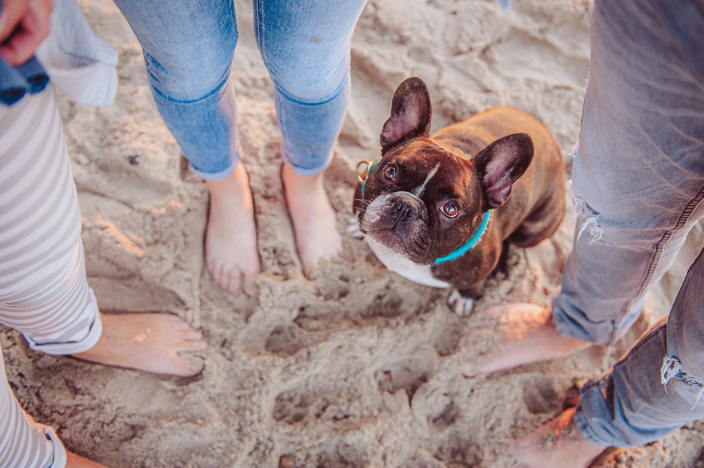 Emotionales und authentisches Hundefotoshooting mit Familien am Strand mit französischer Bulldogge