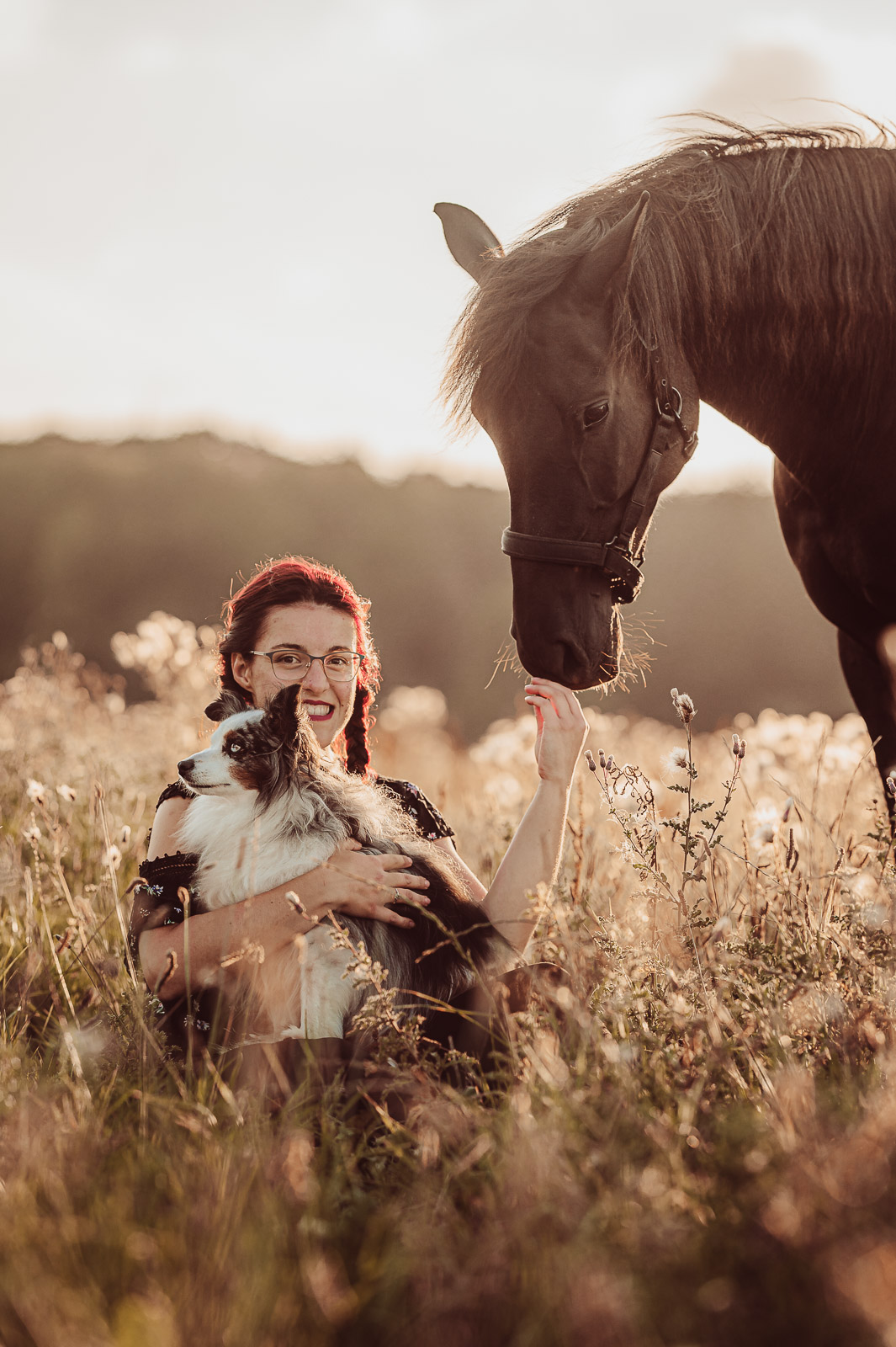 Mensch-Hund-Fotografie mit deinem Hund und Pferd | Hundefotograf & Tierfotograf Rostock