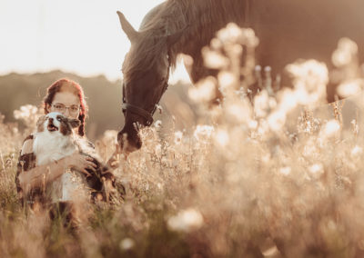 Fotoshooting mit Hund & Pferd