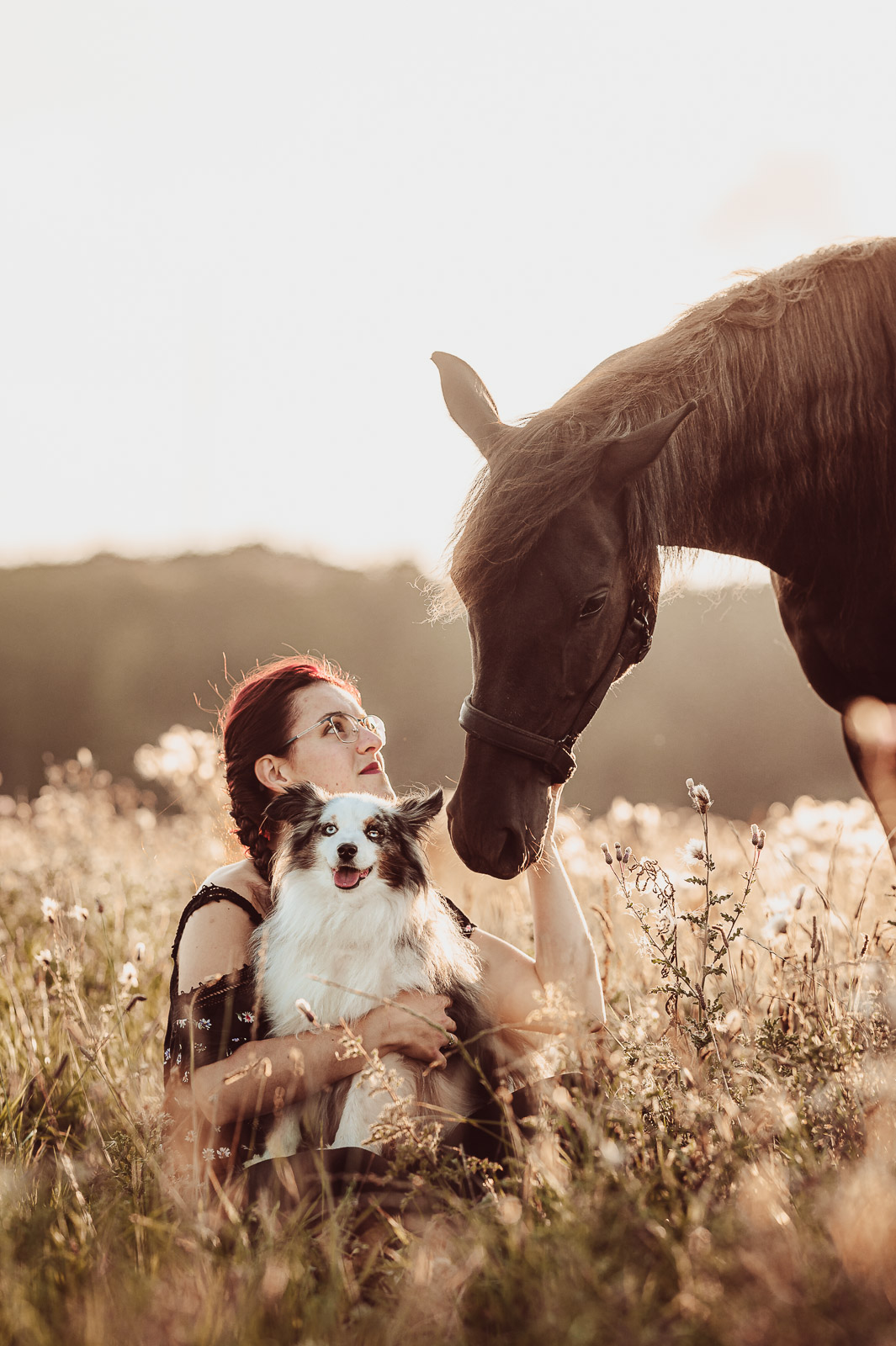 Mensch-Hund-Fotografie mit deinem Hund und Pferd | Hundefotograf & Tierfotograf Rostock