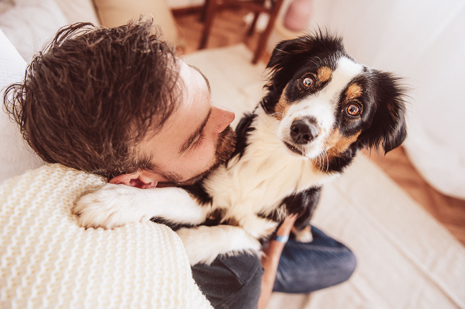 Indoor-Fotoshooting mit deinem Hund | Hundefotograf & Tierfotograf Rostock