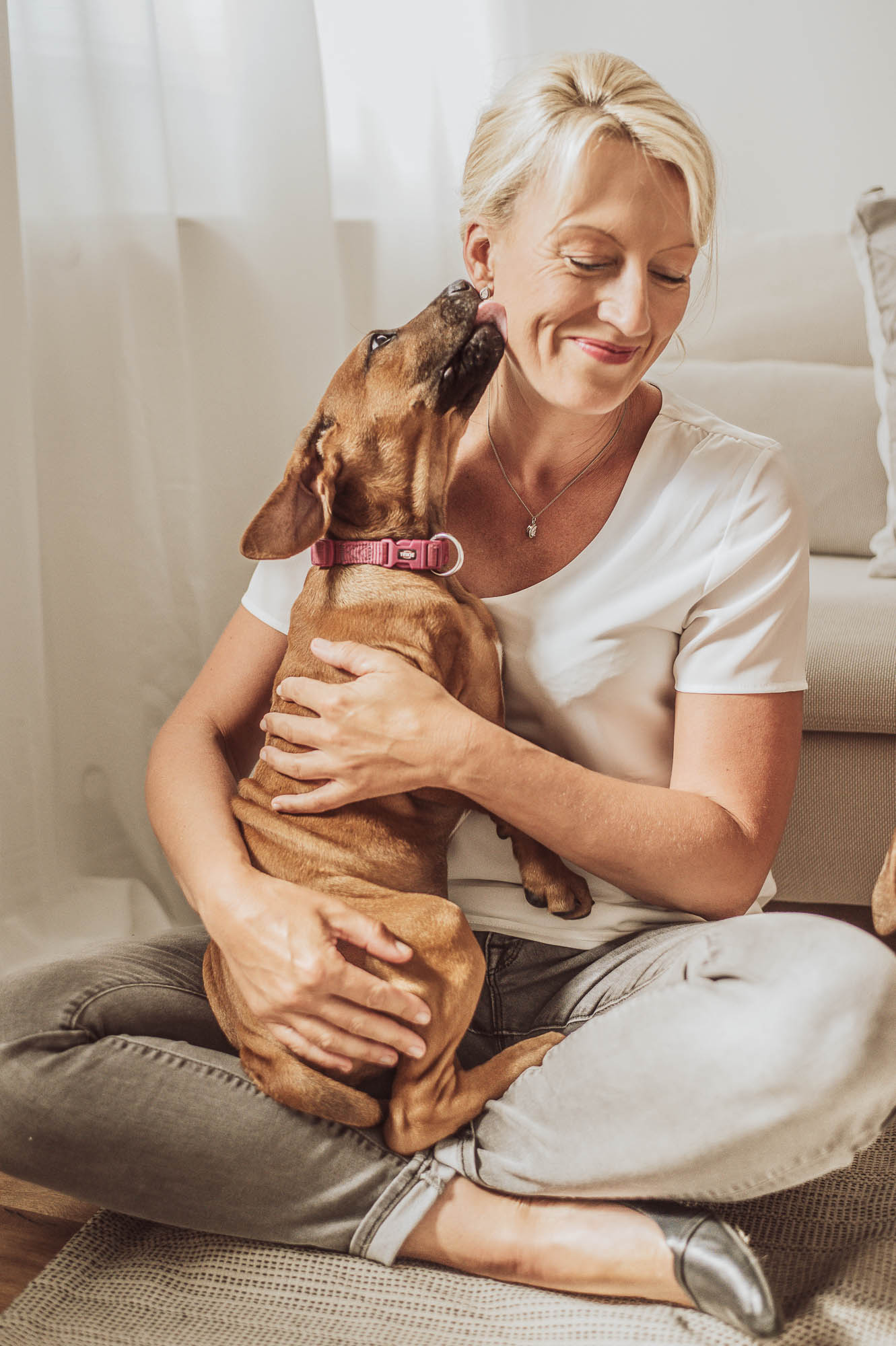 Fotoshooting im Studio mit Welpen - Rhodesian Ridgeback