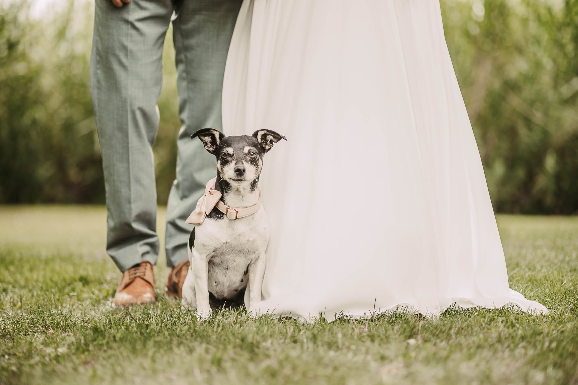 Hochzeit mit Hund - Heiraten mit Hund und deiner Hochzeitsfotografin