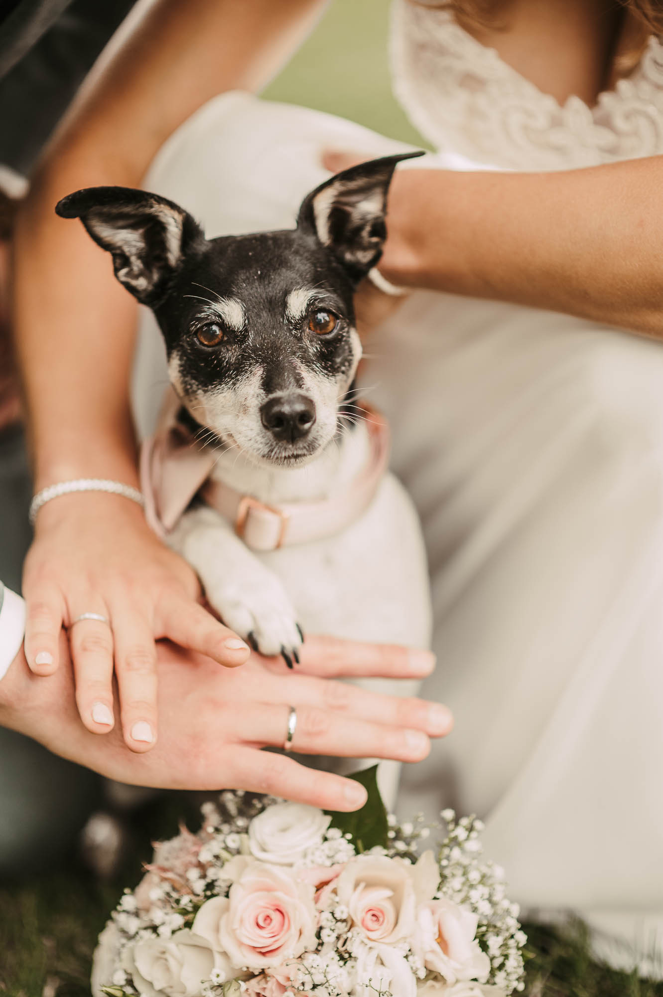 Hochzeit mit Hund - Heiraten mit Hund und deiner Hochzeitsfotografin