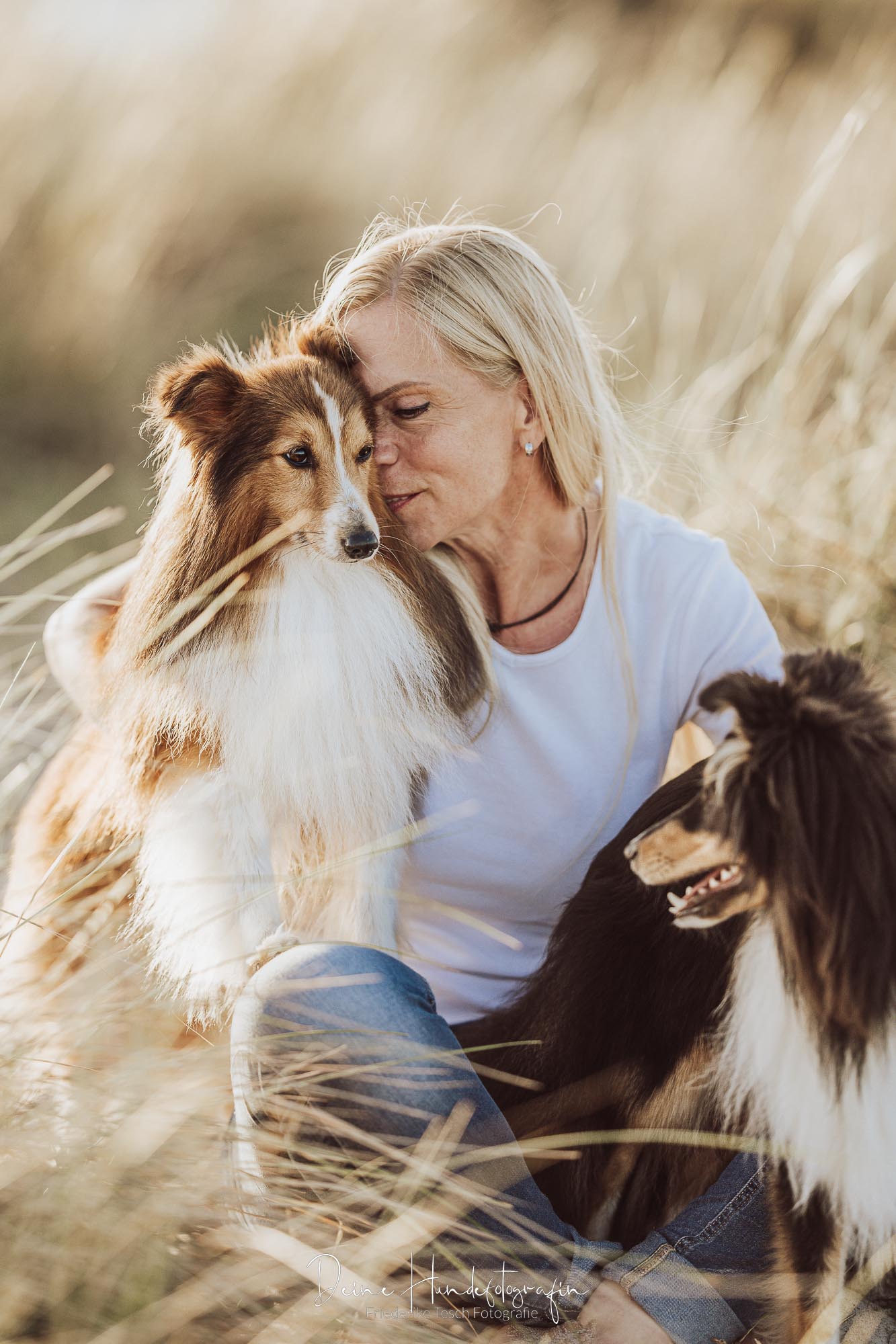 Emotionale und echte Fotos mit deinem Hund am Strand