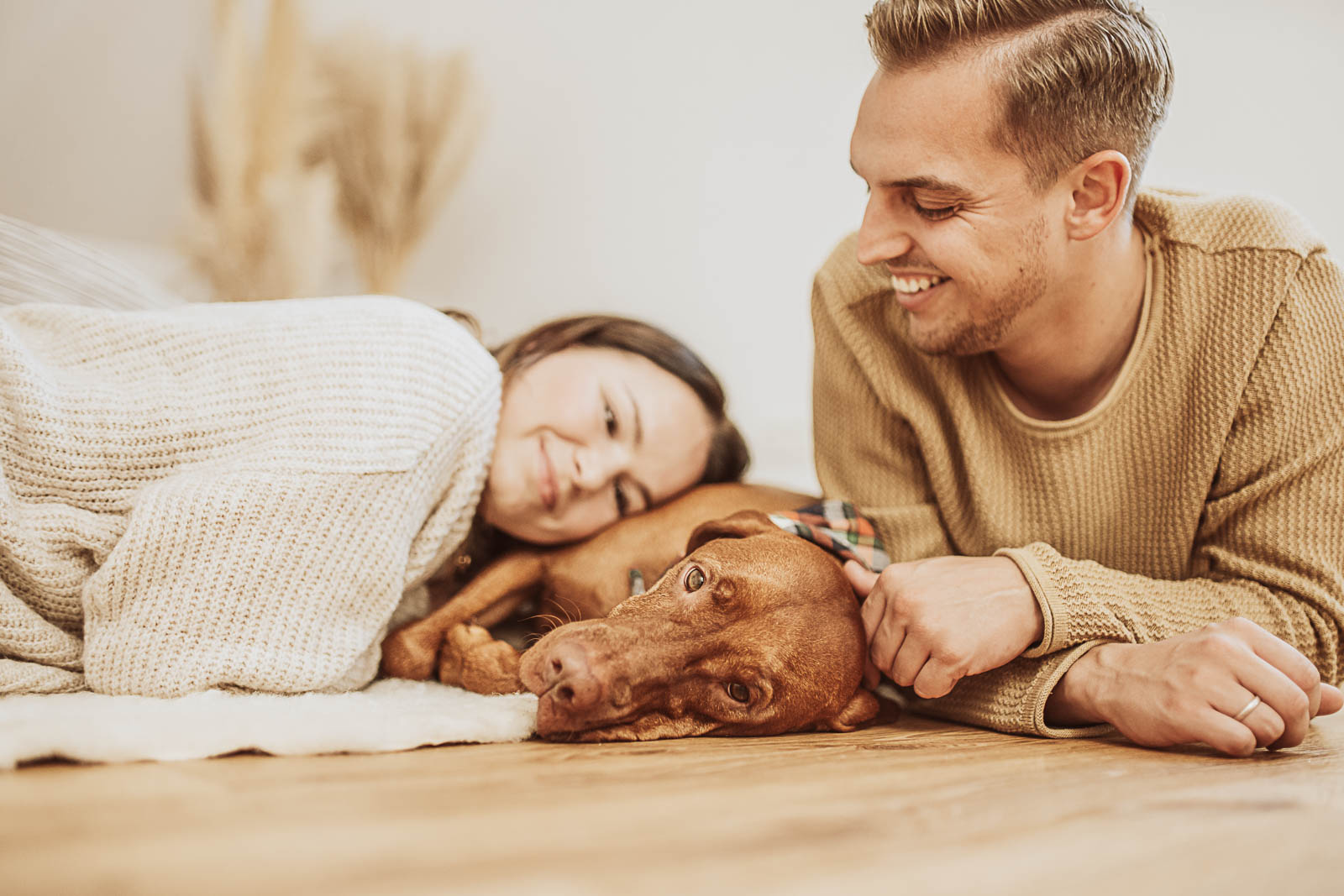 Fotostudio Rostock - Hundefotograf mit Tageslichtstudio - Viszla Alfons