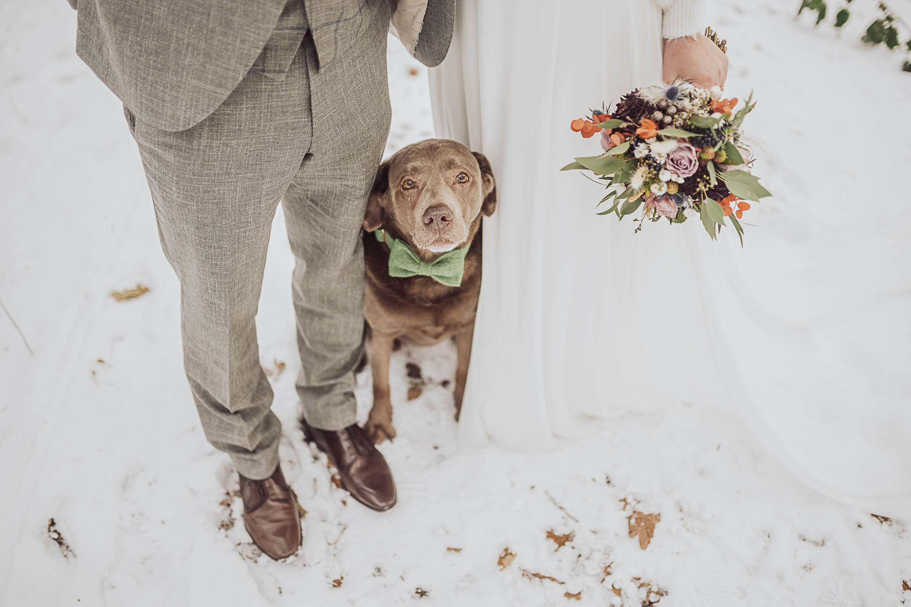 Heiraten mit Hund - Hochzeit im Winter Bokel Mühle