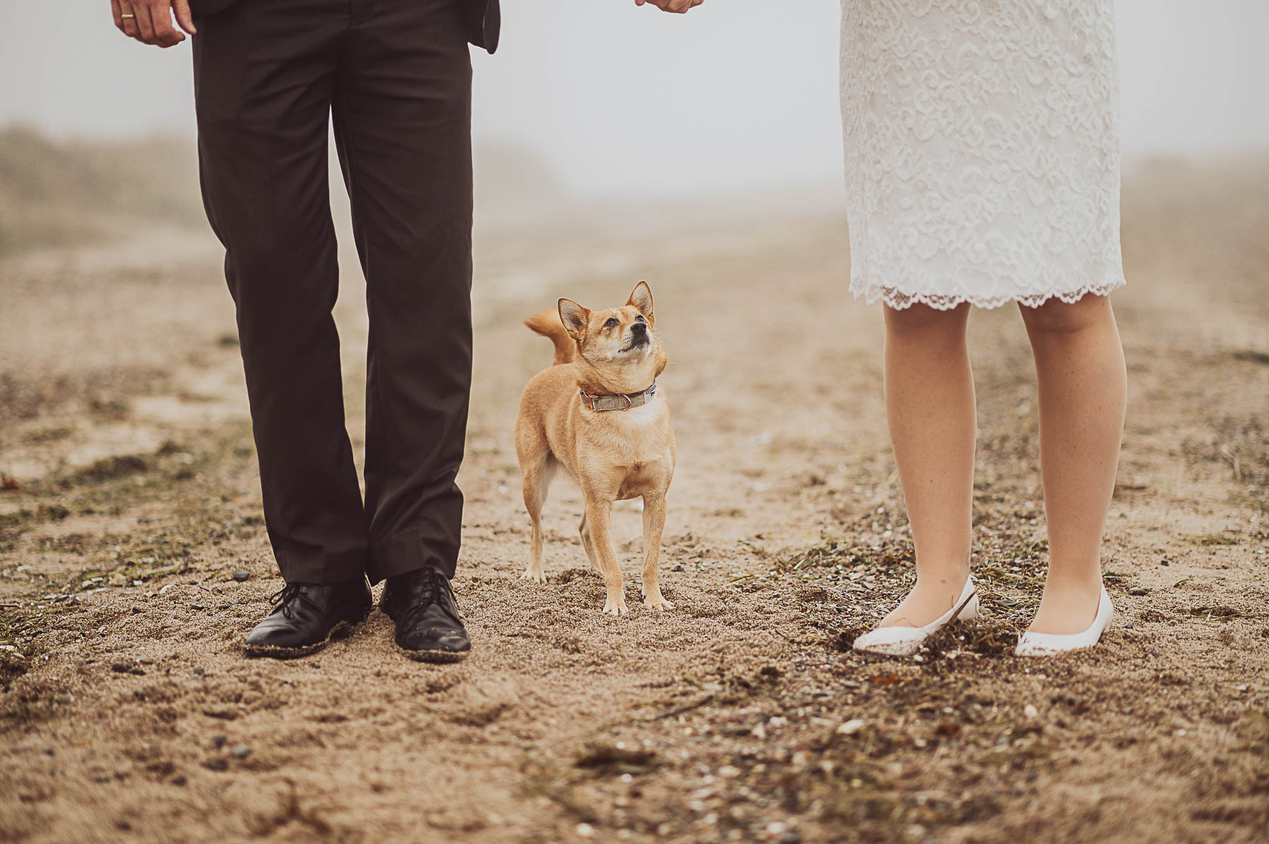 Beispielfotos 12 Heiraten mit Hund - Hochzeit auf Rügen