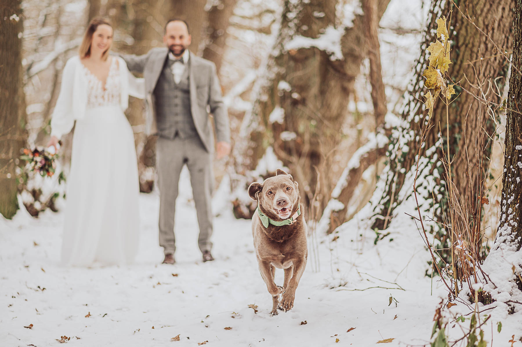 Beispielfotos 16 Heiraten mit Hund - Hochzeit im Winter Bokel Mühle