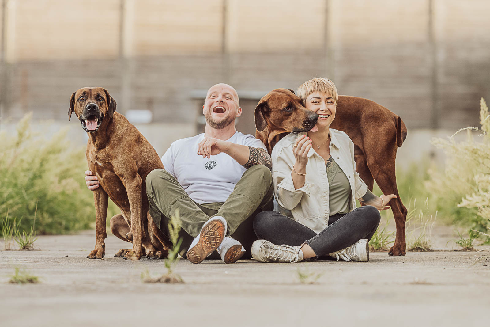 Urban Paar-Fotoshooting mit 2 Rhodesian Ridgebacks in Rostock | Hundefotograf