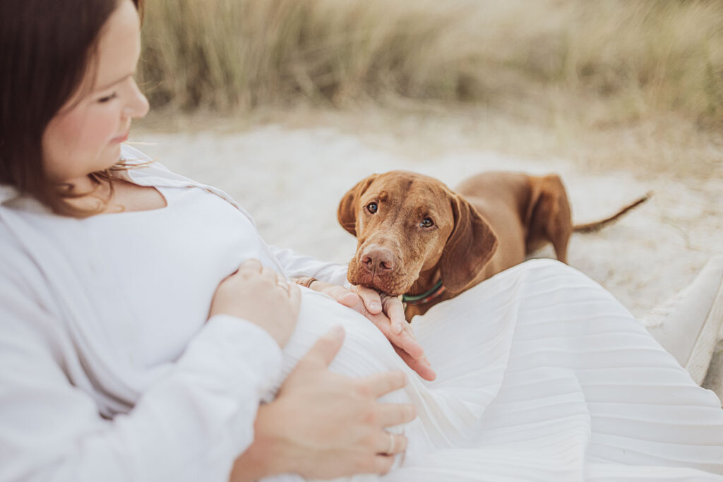 Fotoshooting Babybauch mit Hund an der Ostsee