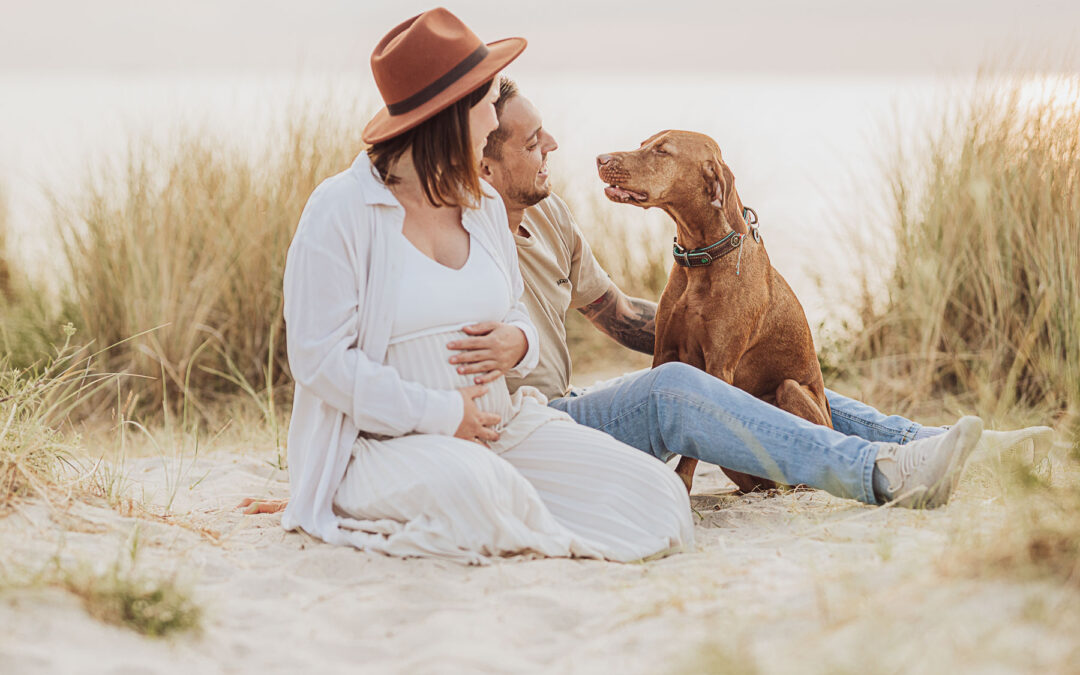 Babybauch Fotoshooting mit Hund