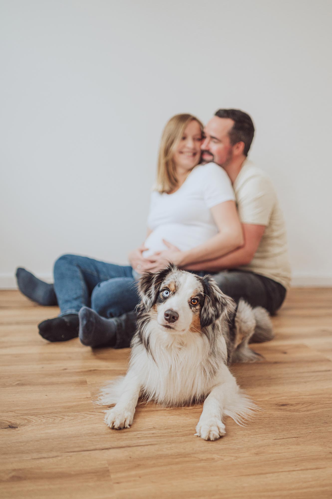 Babybauch-Fotoshooting mit Hund im Fotostudio Rostock