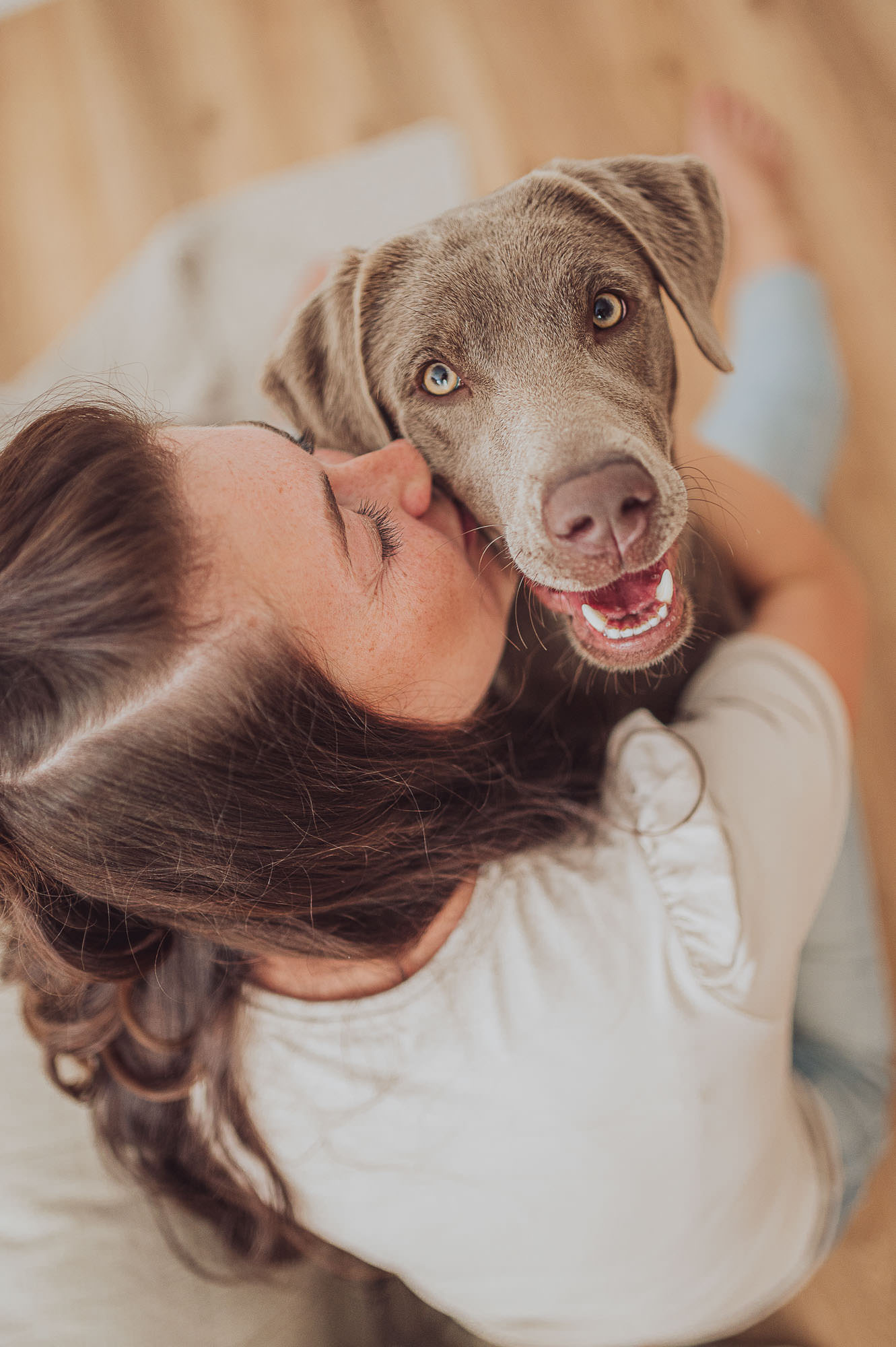 Beispielfotos 9 Innige Fotos mit Labrador vom Hundefotograf