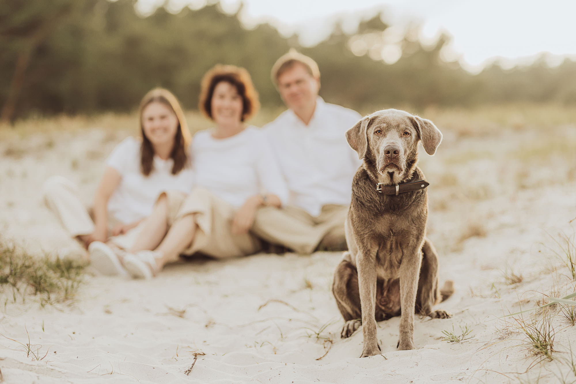 Beispielfotos 14 Familien-Fotoshooting mit Eltern und Tochter und Labrador am Strand auf dem Darss