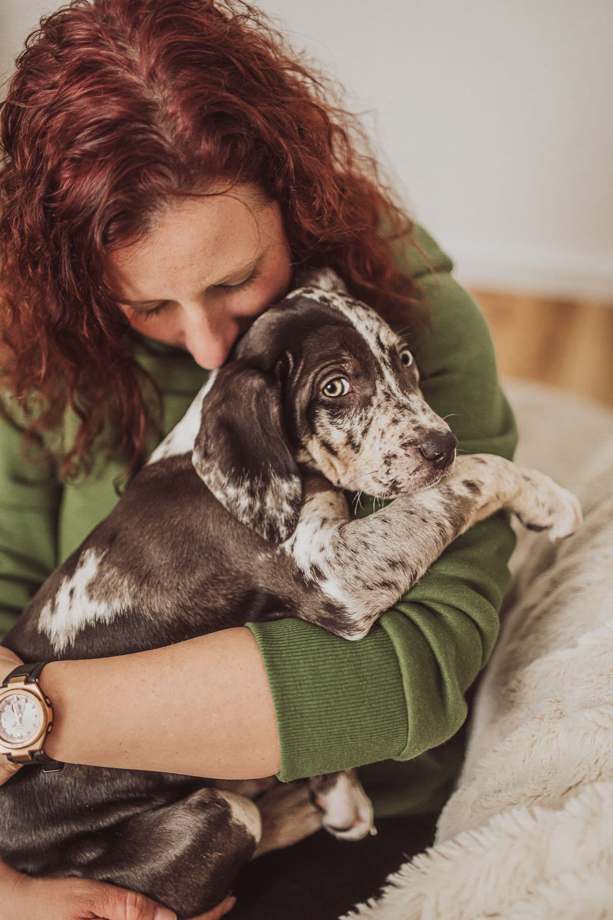 Catahoula-Welpe beim ersten Welpen-Foto-Shooting