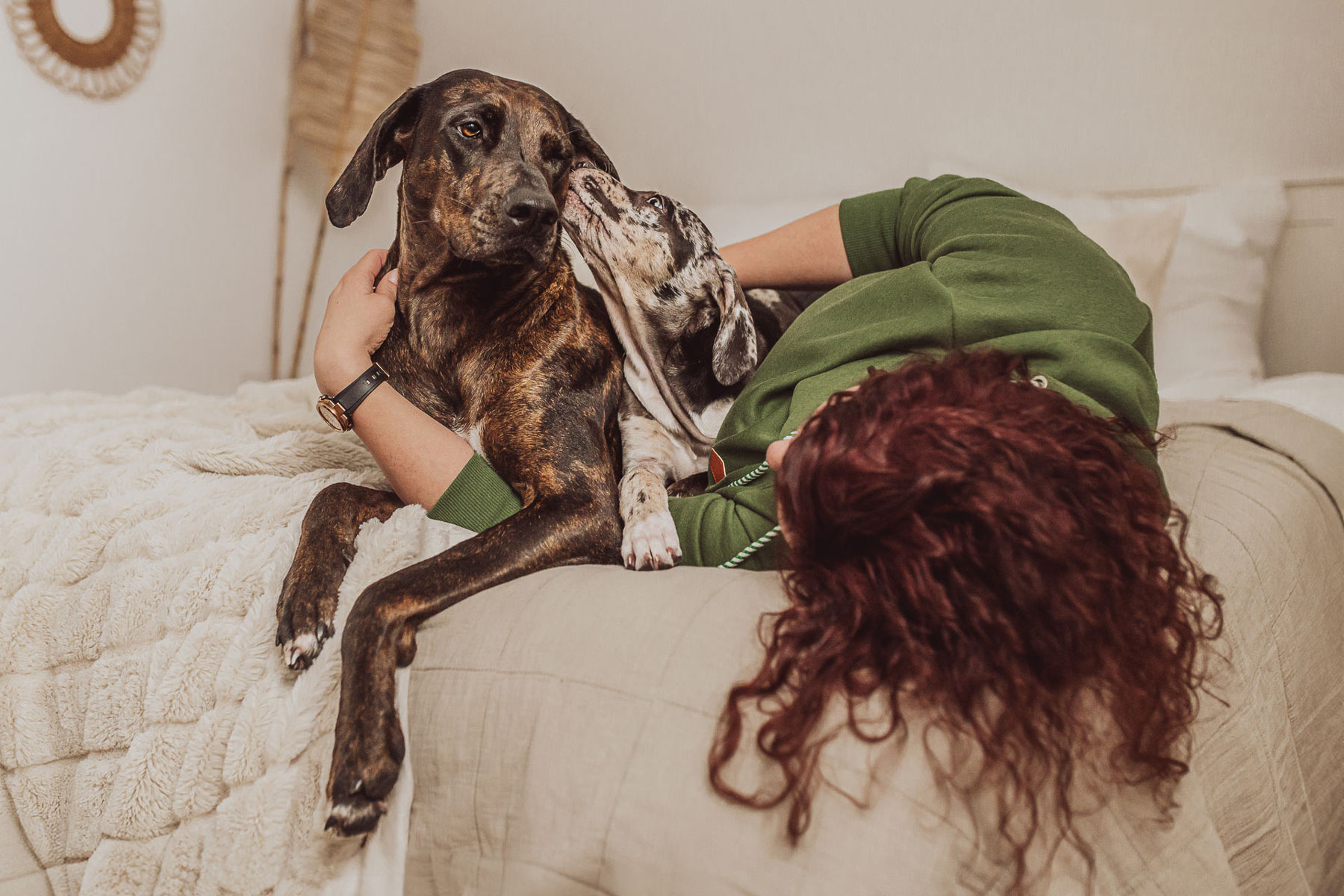 Catahoula-Welpe beim ersten Welpen-Foto-Shooting