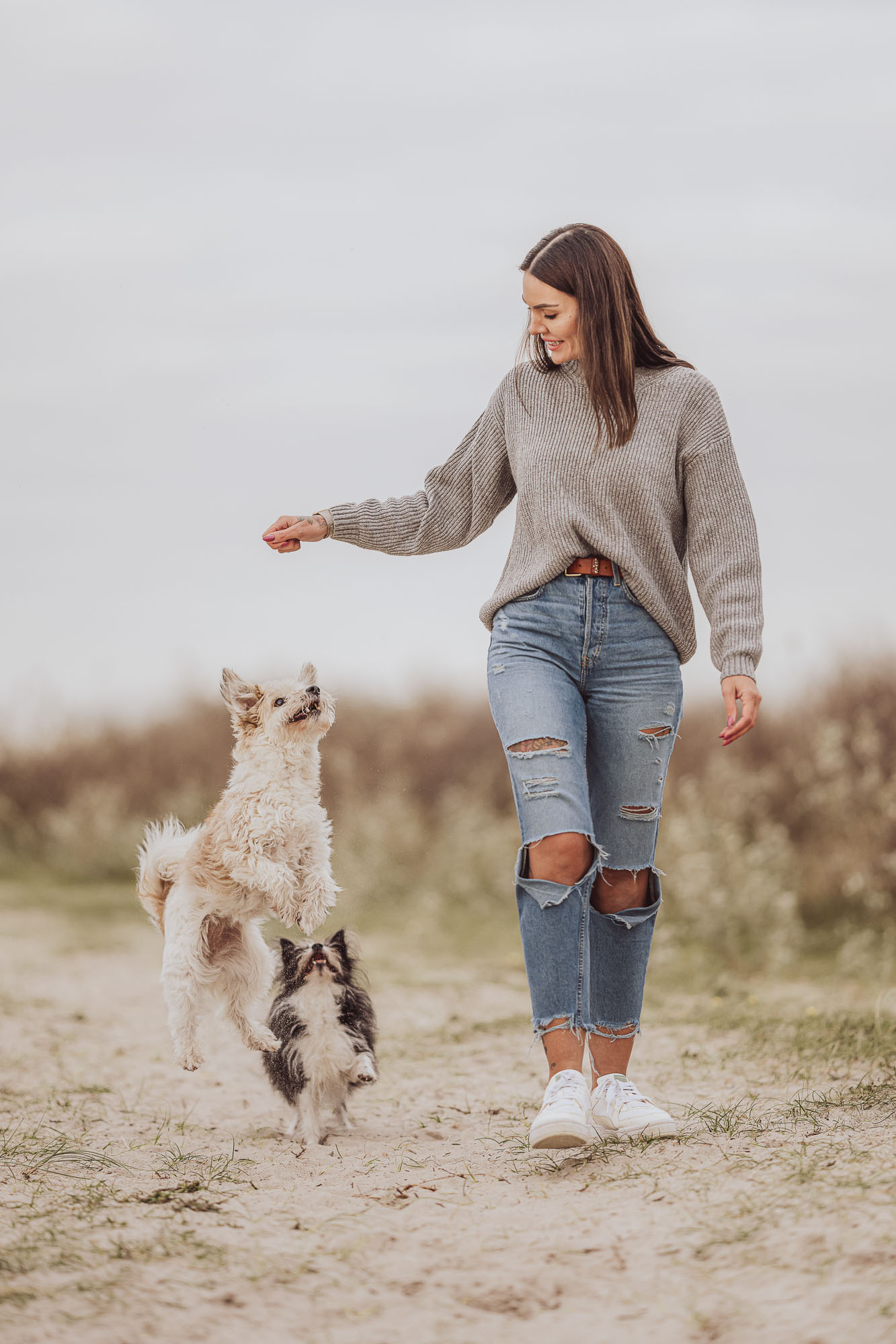 Hunde haben Spaß beim Fotoshooting mit Frau