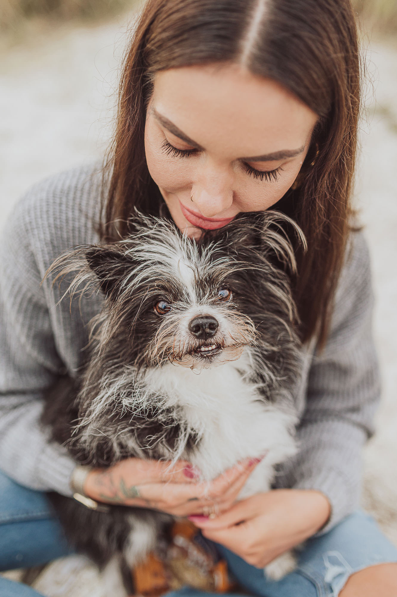 Hundesenioren am Strand beim Hundeshooting in Stralsund