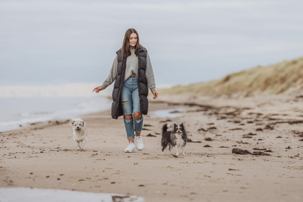 Hundesenior am Strand beim Hundeshooting in Stralsund