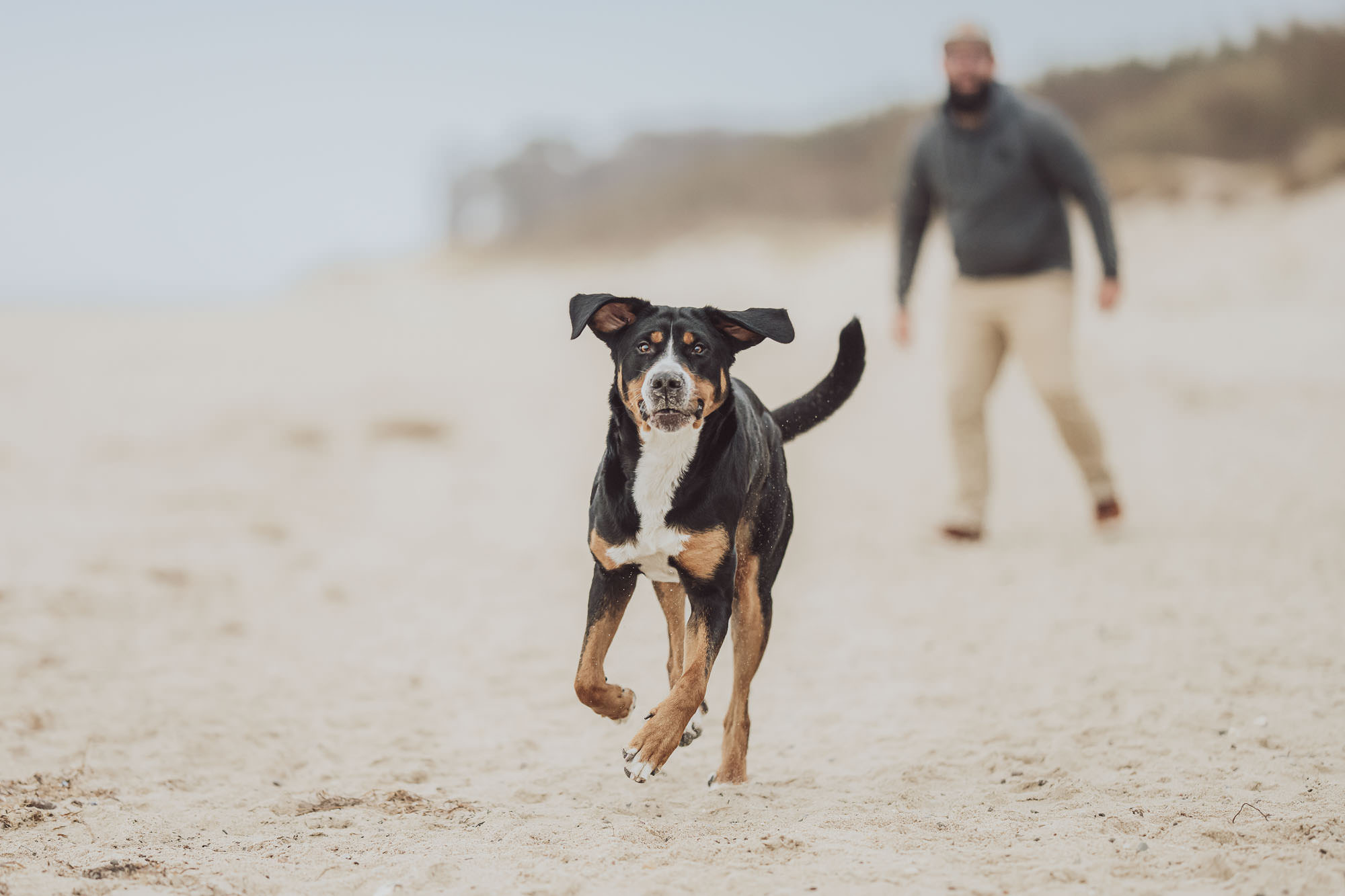 Mann mit Hund beim Hundeshooting in Rostock