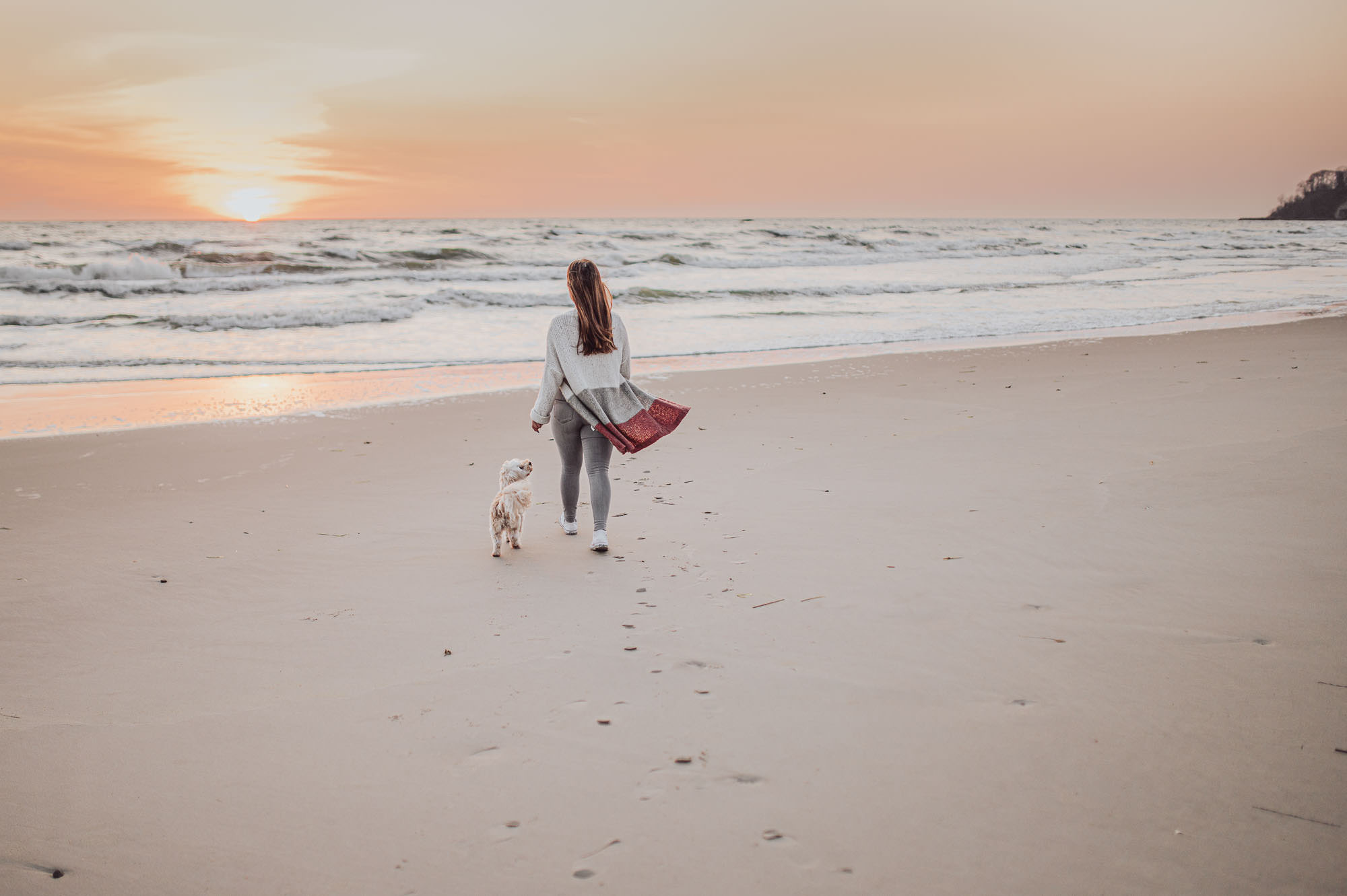 Hunde-Fotoshooting im Sonnenaufgang auf der Insel Rügen, Göhren