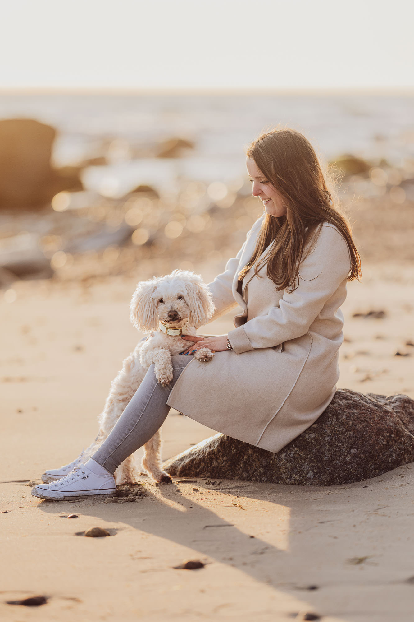 Beispielfotos Fotoshooting mit Malteser auf der Insel Rügen
