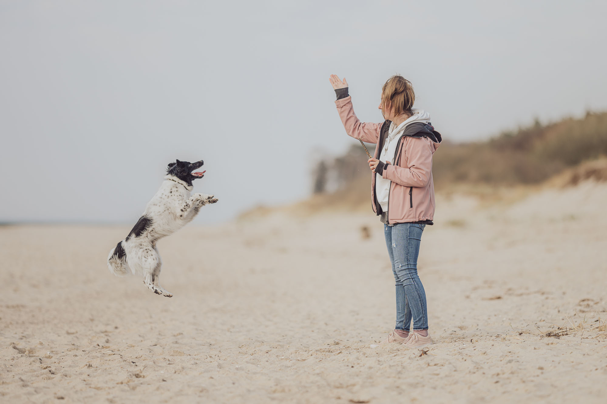 Hundefotoshooting mit Hundetrainer in Rostock