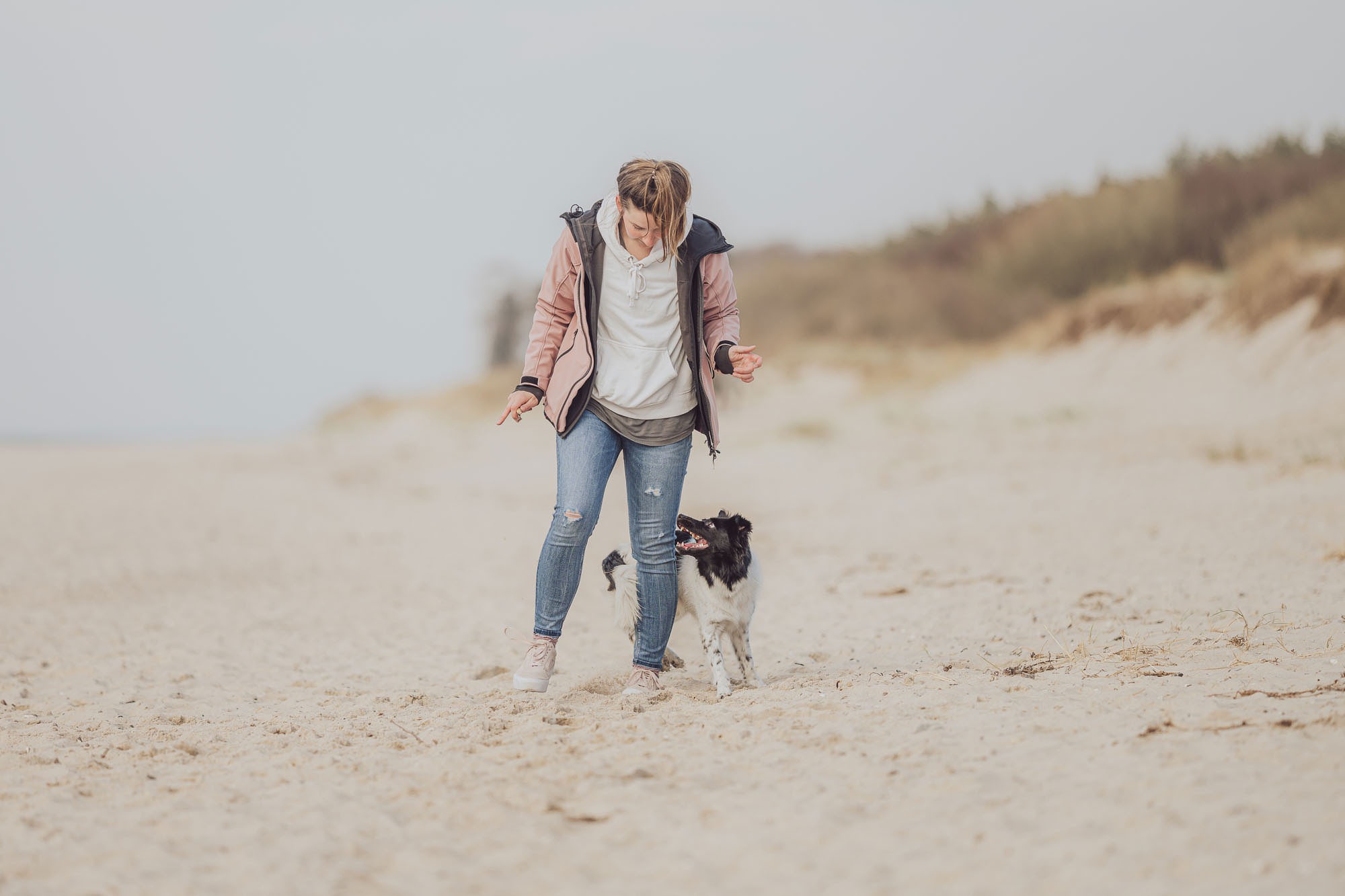 Hundefotoshooting mit Hundetrainer in Rostock