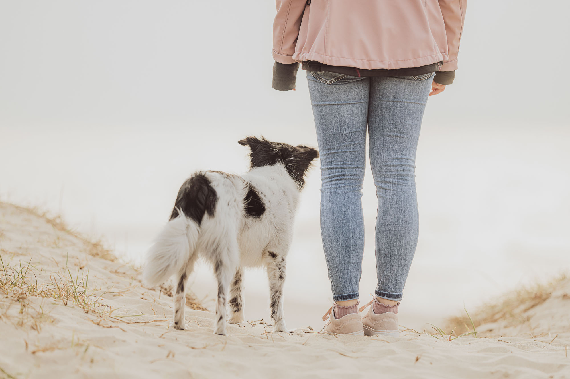 Beispielfotos 6 Hund und Mensch - Team am Strand