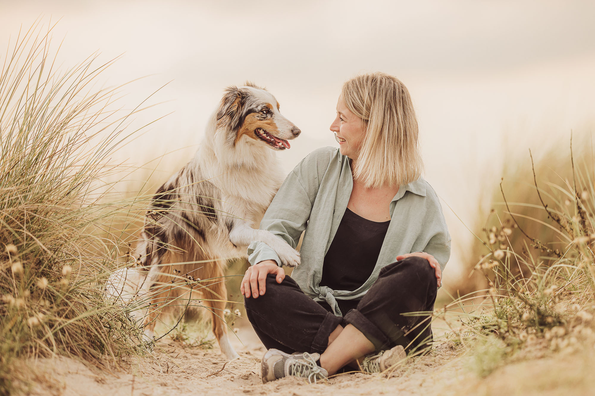 Australian Shepherd beim Fotoshooting am Strand an der Ostsee