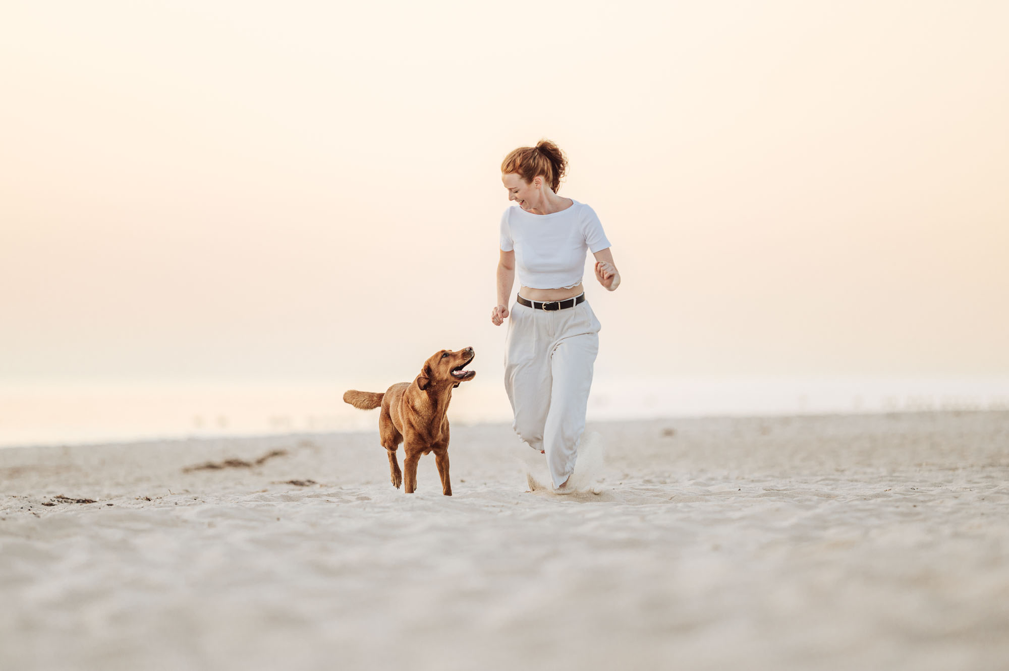 Hundefotoshooting mit Labrador am Strand an der Ostsee, Darss