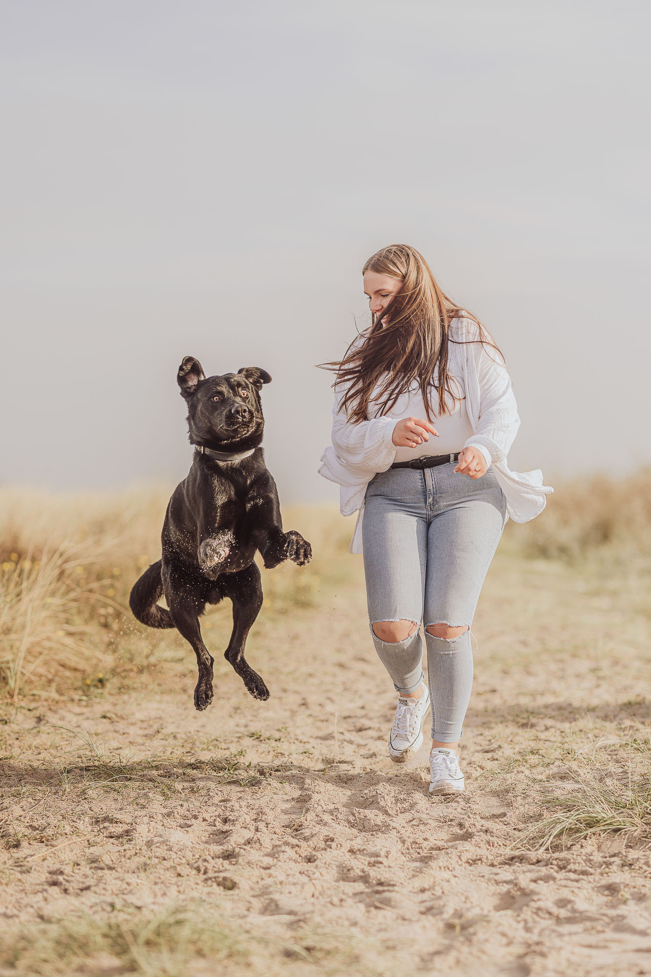 Lustiges Bild von Labrador am Strand in Markgrafenheide