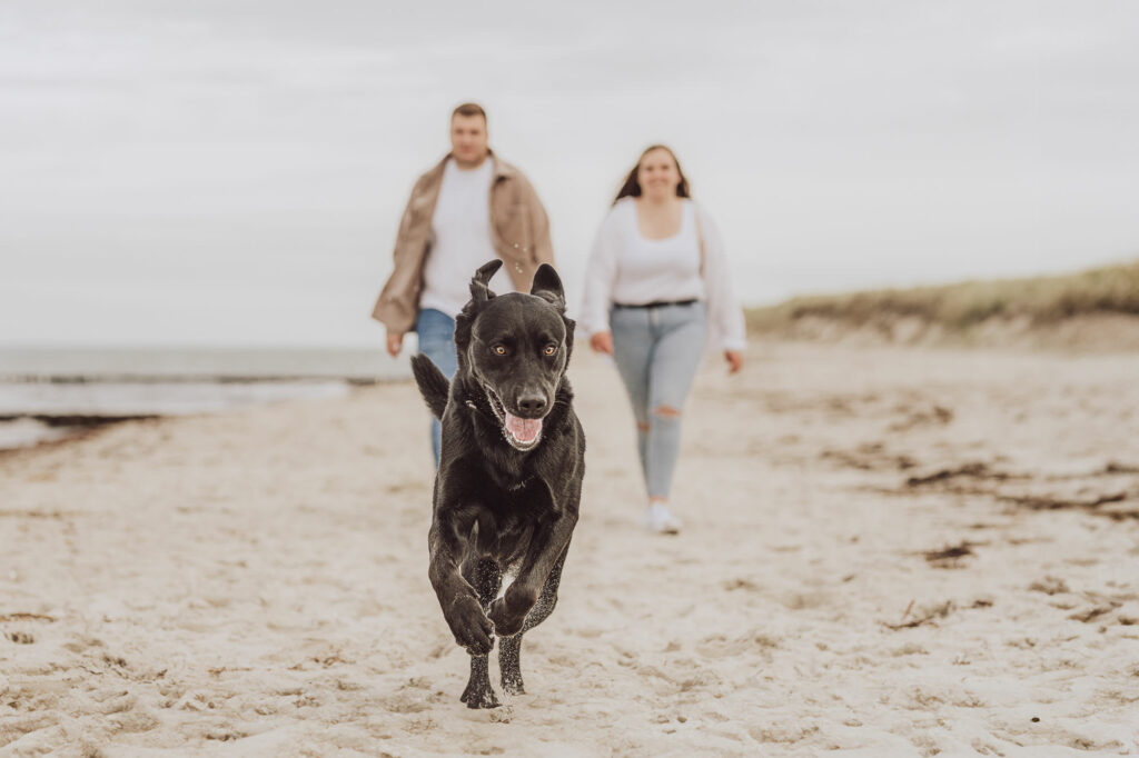 Paar-Shooting an der Ostsee am Strand in Markgrafenheide
