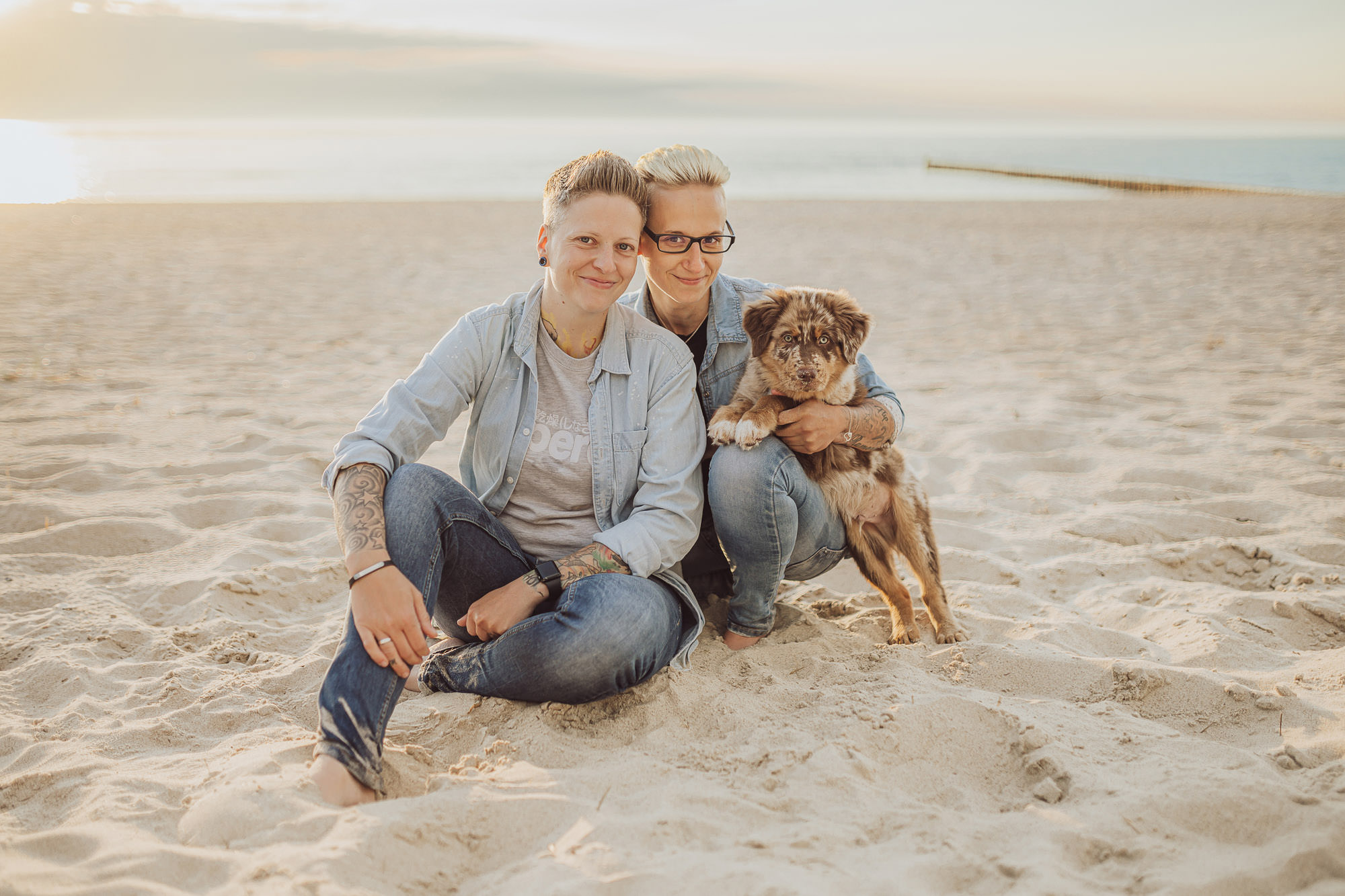 Hundefotograf für Welpen - einmalige Erinnerungen in Rostock, Stralsund, Rügen und Schwerin