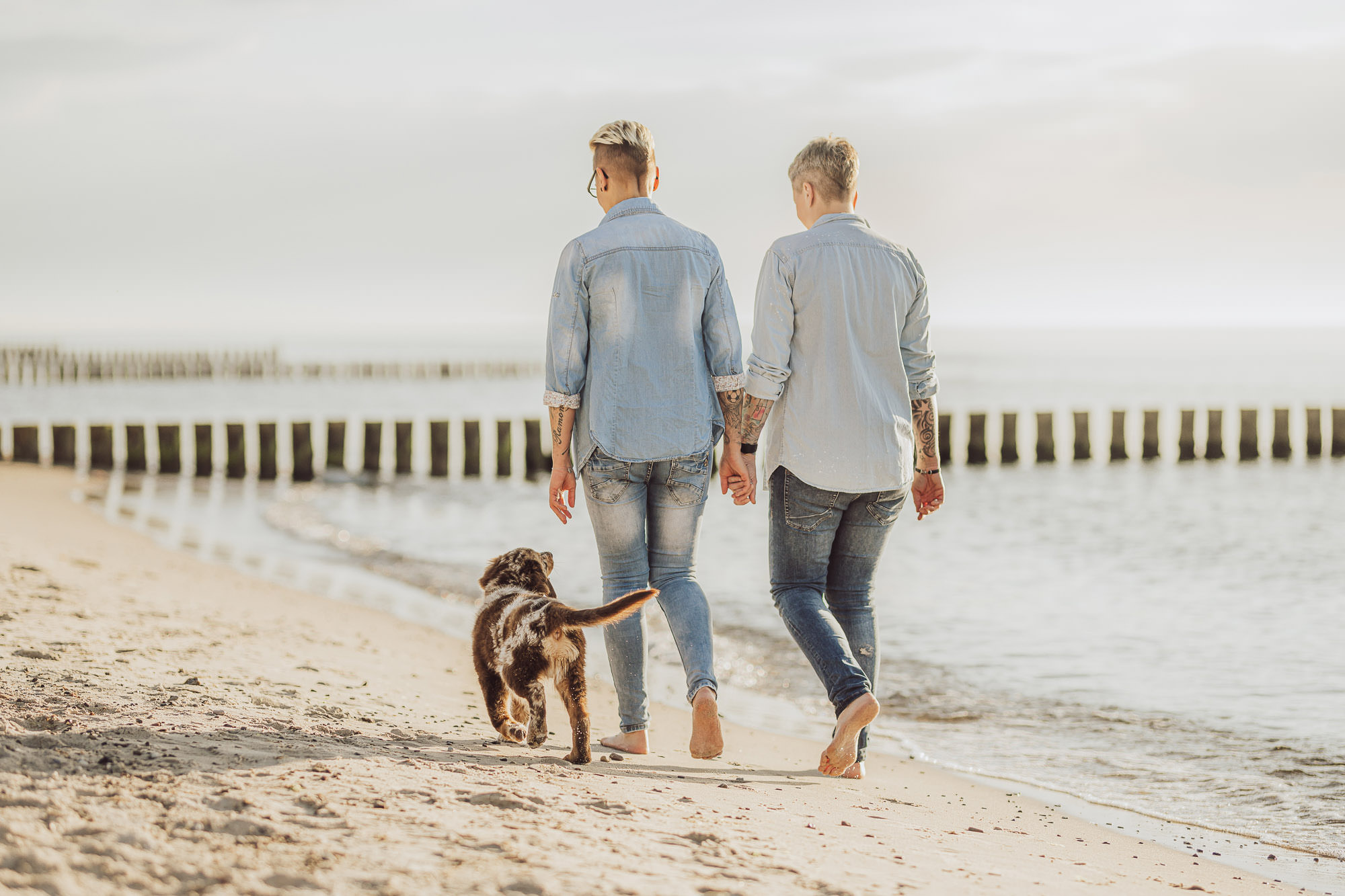 Beispielfotos 5 Fotoshooting mit deinem Welpen beim Hundefotograf in Rostock