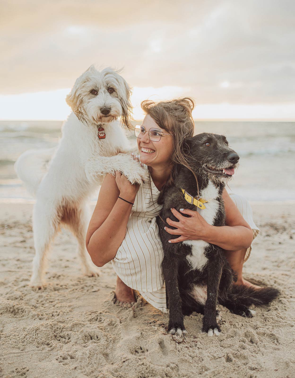 Echte Momente beim Fotoshooting mit Hund in Rostock am Strand