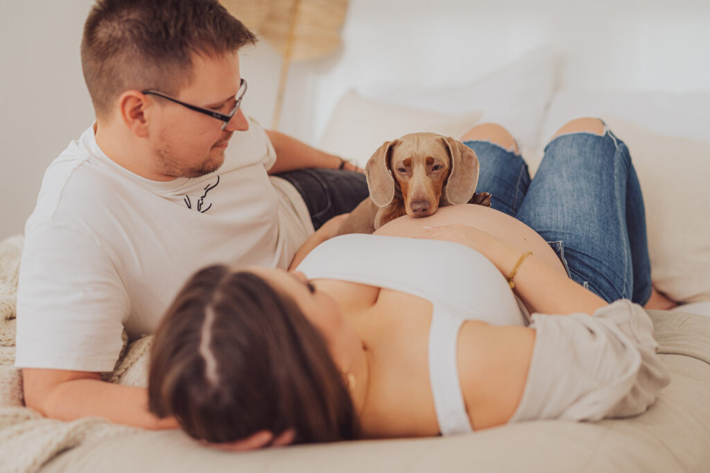 Babybauch Fotoshooting in Rostock mit Hund im Fotostudio