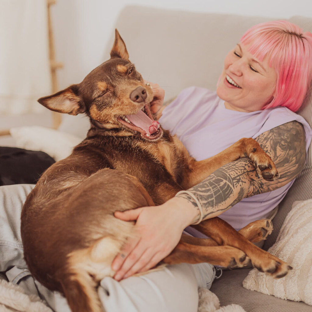 Fotoshooting mit Hund (Kelpie) im Fotostudio bei Rostock