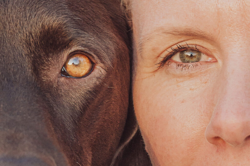 Fotoshooting mit Hund in den Boberger Dünen bei Hamburg