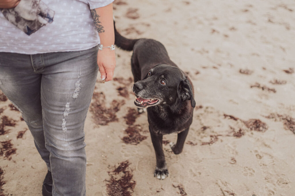 Regenbogen-Shooting mit Hundesenior am Ostseestrand