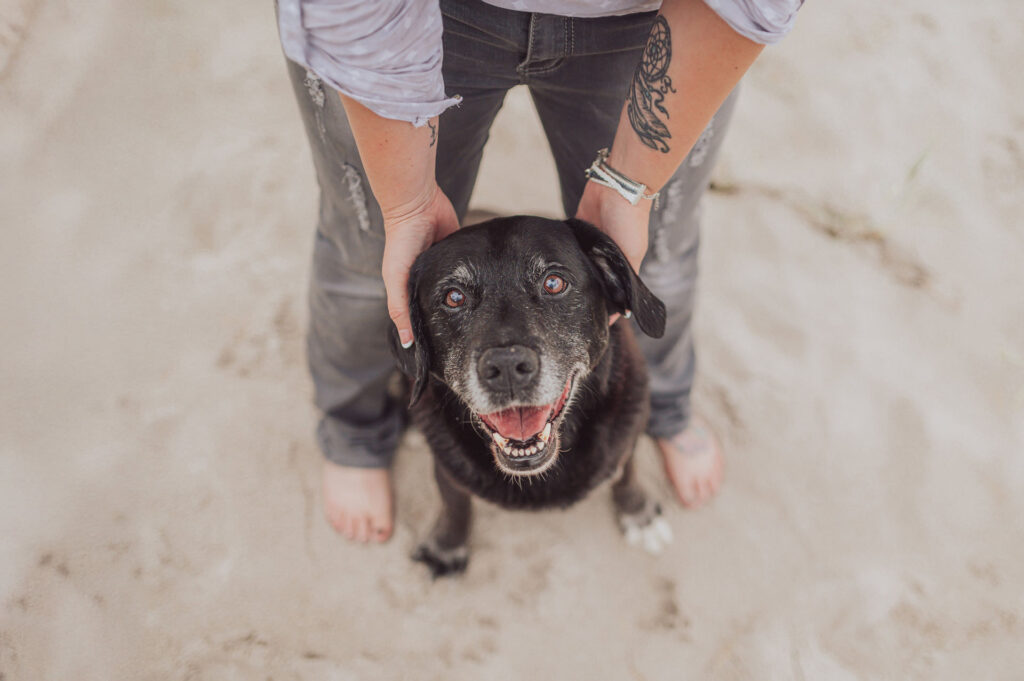 Regenbogen-Shooting mit Hundesenior am Ostseestrand