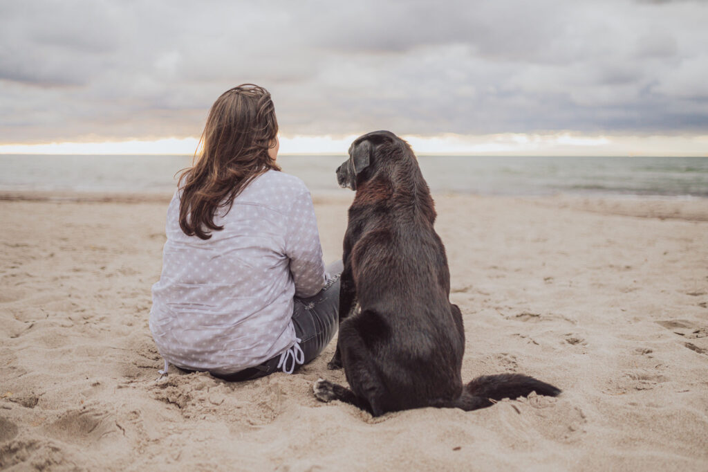 Regenbogen-Shooting mit Hundesenior am Ostseestrand