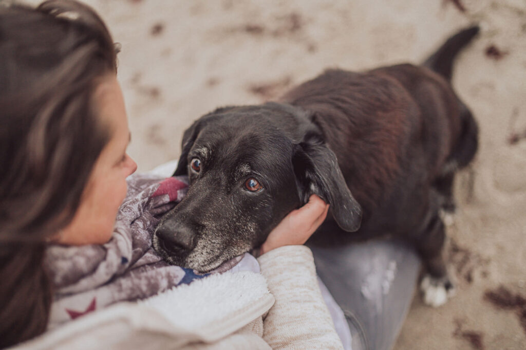 Regenbogen-Shooting mit Hundesenior am Ostseestrand