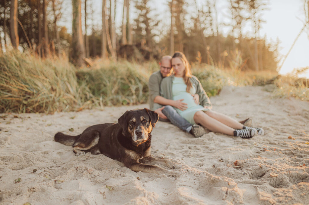 Babybauch Shooting am Strand Ostsee mit Hund Rostock 5