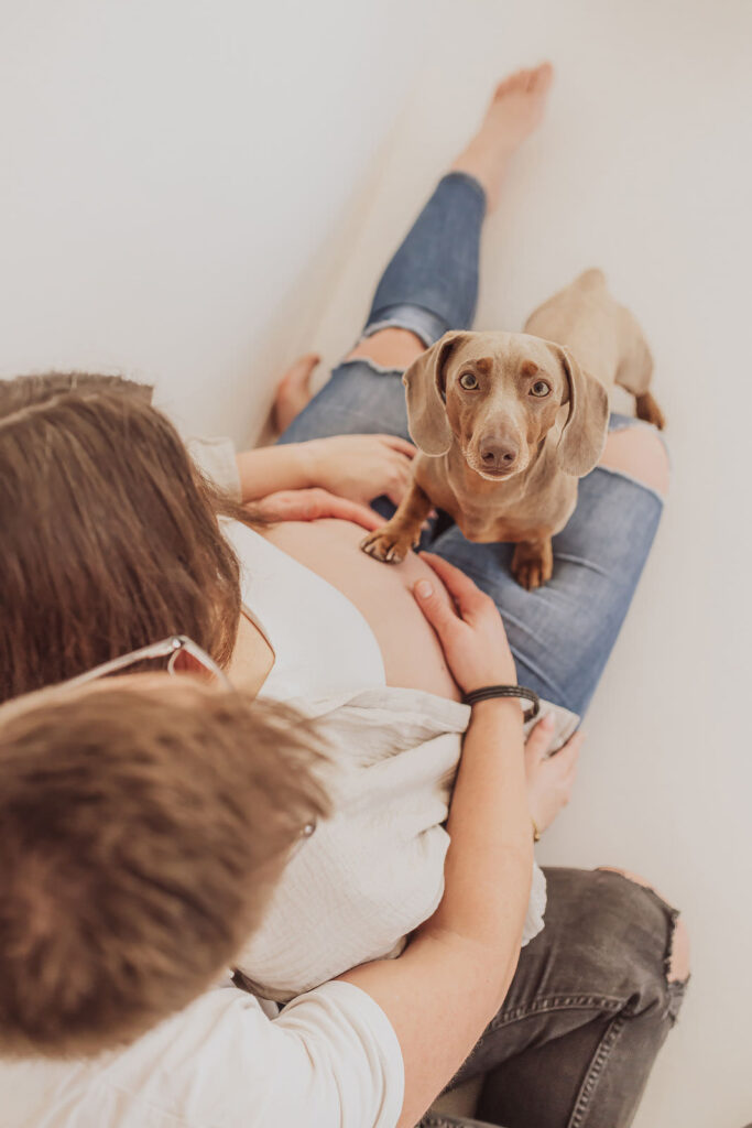 Fotoshooting mit Hund und Babybauch in Rostock