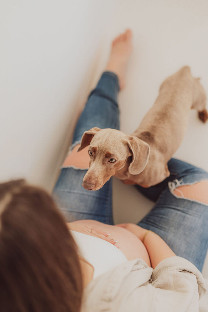 Fotoshooting mit Hund und Babybauch in Rostock